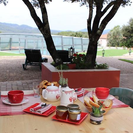 Bed and Breakfast La Bastide De Nini Carces Екстер'єр фото