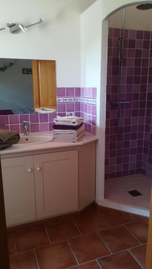 Bed and Breakfast La Bastide De Nini Carces Екстер'єр фото